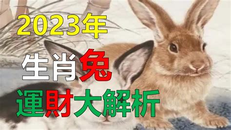 2023兔寶寶好嗎|2023年12生肖運勢大解析！這些生肖兔年運勢超旺 詳。